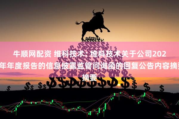 牛顺网配资 维科技术: 维科技术关于公司2024年年度报告的信息披露监管问询函的回复公告内容摘要