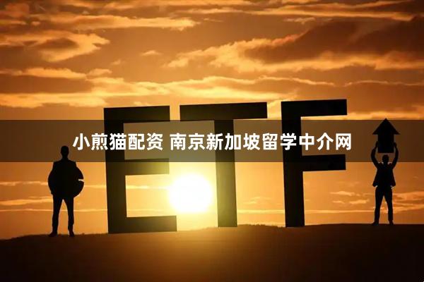 小煎猫配资 南京新加坡留学中介网