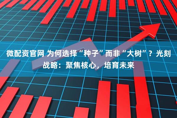 微配资官网 为何选择“种子”而非“大树”？光刻战略：聚焦核心，培育未来